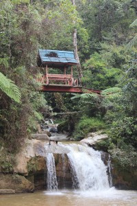 Cameron Highlands-009